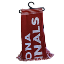 Arizona Cardinals Winter Scarf - LA REED FAN SHOP