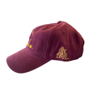 Arizona State Sun Devils Starter Hat