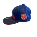 Arizona Wildcats Kid's Team Starter Hat