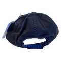 Carolina Panthers Black Hat - LA REED FAN SHOP