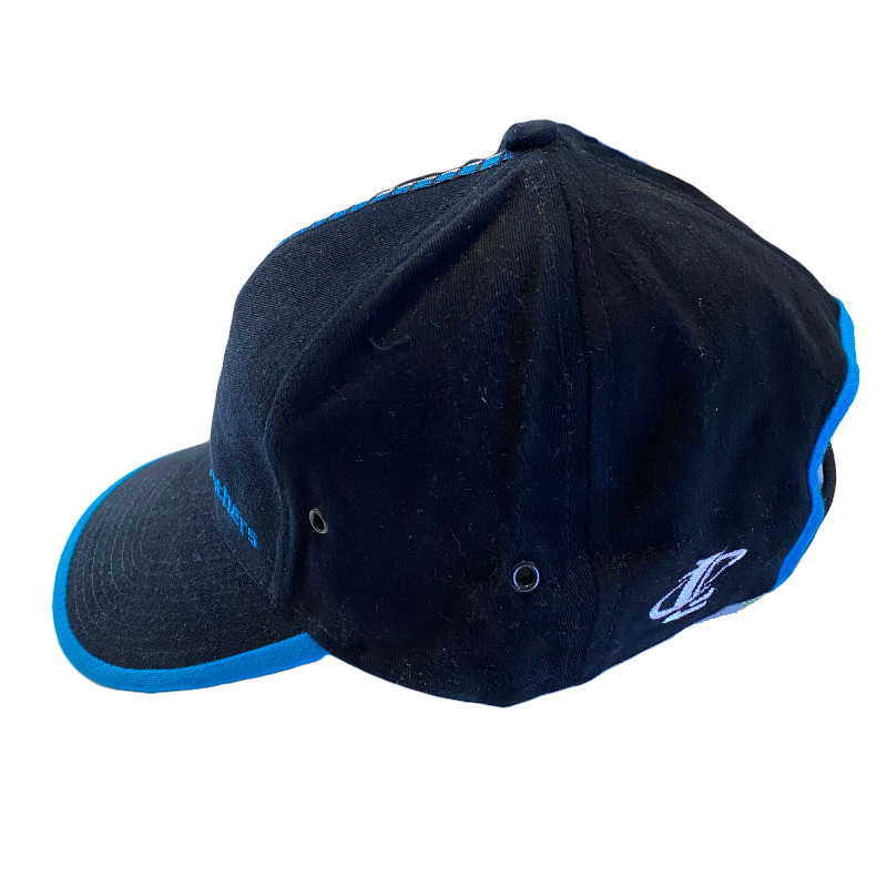 Carolina Panthers Adjustable Hat - LA REED FAN SHOP