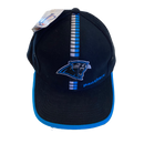 Carolina Panthers Adjustable Hat - LA REED FAN SHOP