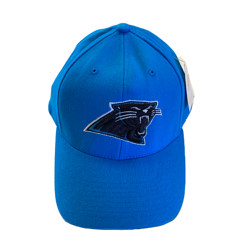 Carolina Panthers Blue Adjustable Hat - LA REED FAN SHOP