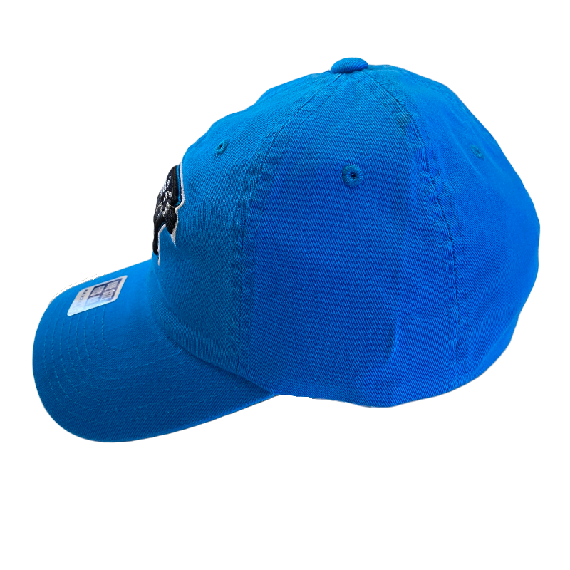 Carolina Panthers Adjustable Blue Hat - LA REED FAN SHOP