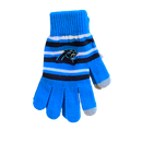 Carolina Panthers Texting Tips Gloves