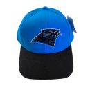 Carolina Panthers Adjustable Hat - LA REED FAN SHOP
