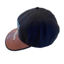 Carolina Panthers American Needle Black Hat - LA REED FAN SHOP