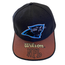 Carolina Panthers American Needle Black Hat - LA REED FAN SHOP