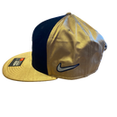 Clemson Tigers 2016 National Champions Nike Hat