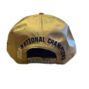 Clemson Tigers 2016 National Champions Nike Hat