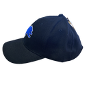 Detroit Lions Black Adjustable Hat - LA REED FAN SHOP