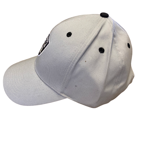 Las Vegas Raiders Reebok Adjustable Gray Hat - LA REED FAN SHOP