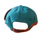 Miami Dolphins Vintage American Apparel Hat