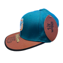 Miami Dolphins Vintage American Apparel Hat