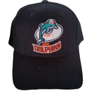 Miami Dolphins Adjustable Fit Hat
