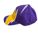 Minnesota Vikings Adjustable Reebok Multi Color Hat - LA REED FAN SHOP
