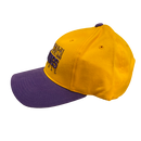 Minnesota Vikings Yellow and Purple Reebok Hat - LA REED FAN SHOP