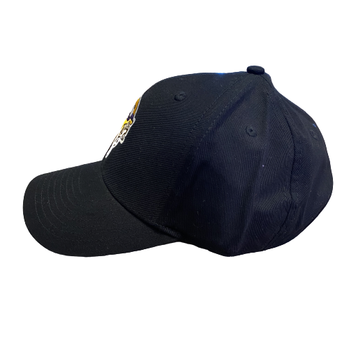 Minnesota Viking Black Pro Shape Reebok Adjustable Hat - LA REED FAN SHOP