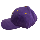 Minnesota Vikings Purple Adjustable Hat - LA REED FAN SHOP