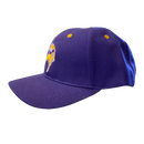 Minnesota Vikings Purple Hat