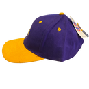 Minnesota Vikings Purple and Yellow Hat - LA REED FAN SHOP