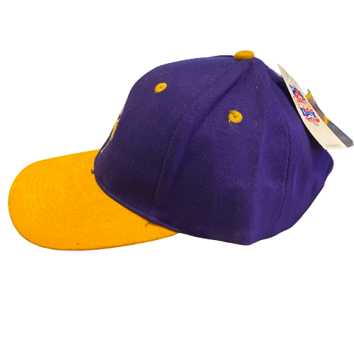 Minnesota Vikings Purple and Yellow Hat - LA REED FAN SHOP