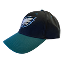 Philadelphia Eagles Black & Green Hat