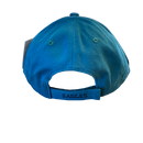 Philadelphia Eagles Green & Gray Hat