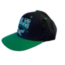 Philadelphia Eagles Flat Bill Black Hat