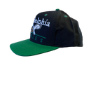 Philadelphia Eagles Flat Bill Black Hat