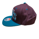 Anaheim Ducks Snapback Zephyr Hat