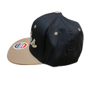 Anaheim Ducks Black Snapback Zephyr Hat NHL