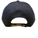 Pittsburgh Steelers AFC North Hat