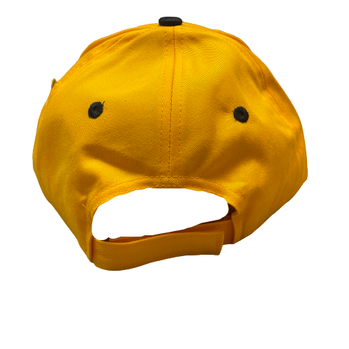 Pittsburgh Steelers Reebok Hat