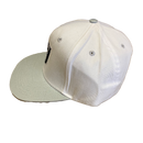 Las Vegas Raiders White & Gray Reebok Snapback Hat - LA REED FAN SHOP