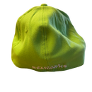 Seattle Seahawks New Era 39Thirty Hat