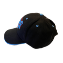Tennessee Titans Adjustable Black Hat - LA REED FAN SHOP